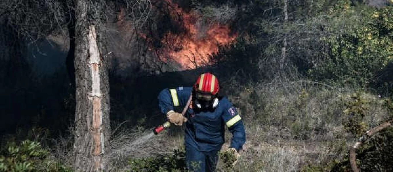 Να κηρυχθούν τα Γεράνεια όρη αναδασωτέα περιοχή ζητά το Περιφερειακό Συμβούλιο Αττικής (βίντεο)